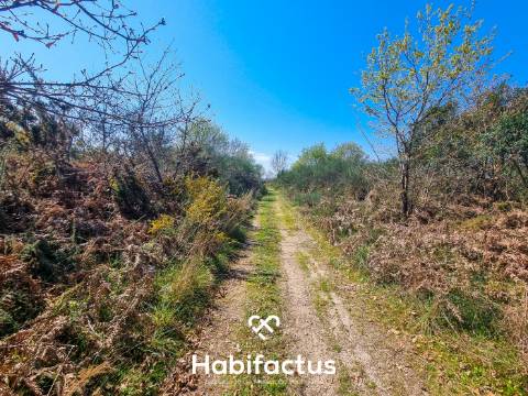 Quinta com 36 hectares para venda em Viseu.