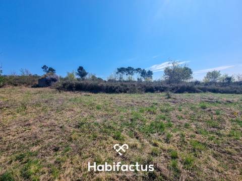 Quinta com 36 hectares para venda em Viseu.