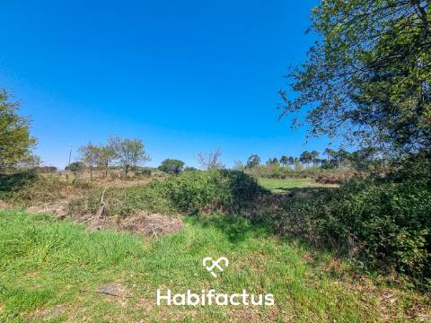 Quinta com 36 hectares para venda em Viseu.