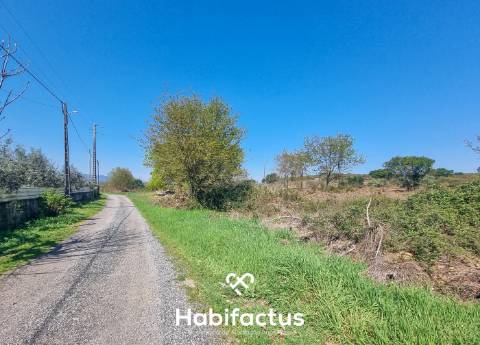 Quinta com 36 hectares para venda em Viseu.