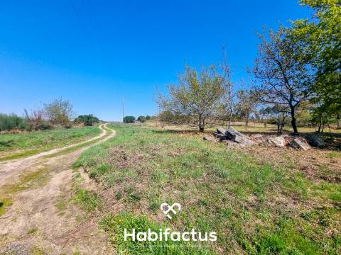 Quinta com 36 hectares para venda em Viseu.