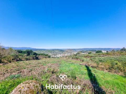 Quinta com 36 hectares para venda em Viseu.
