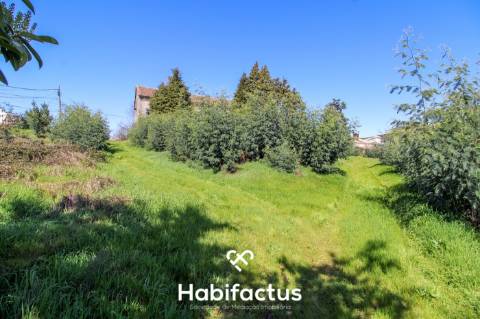 Quinta exclusiva em Viseu com casa em pedra