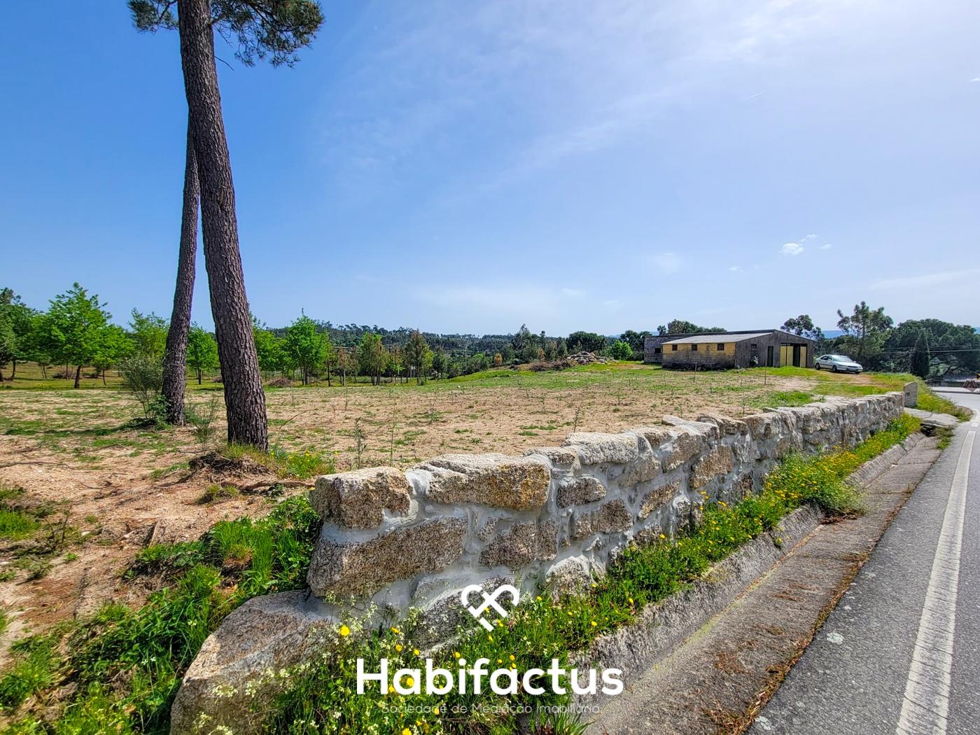 Terreno Rústico com 4.672 m2, com Olival e Pavilhão, á Venda em Abrunhosa do Mato - Mangualde