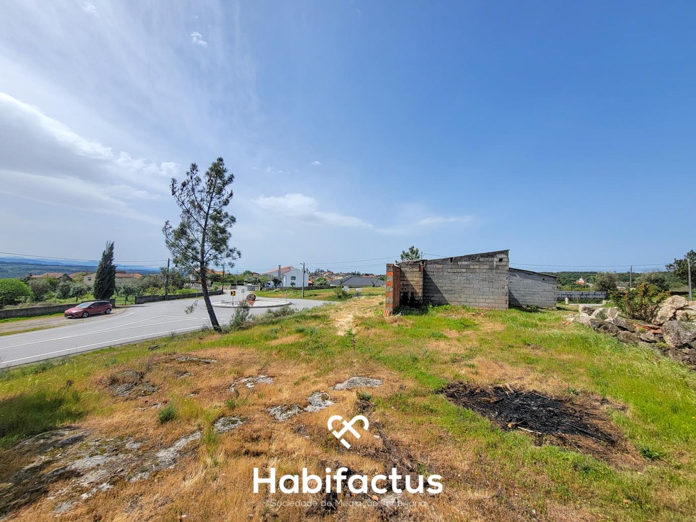 Terreno Rústico com 4.672 m2, com Olival e Pavilhão, á Venda em Abrunhosa do Mato - Mangualde