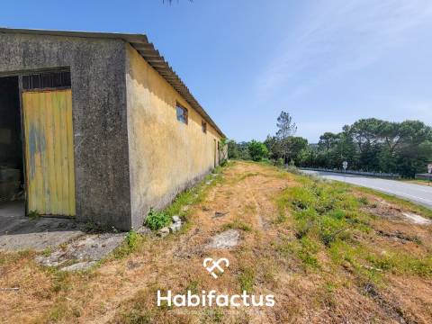 Terreno Rústico com 4.672 m2, com Olival e Pavilhão, á Venda em Abrunhosa do Mato - Mangualde