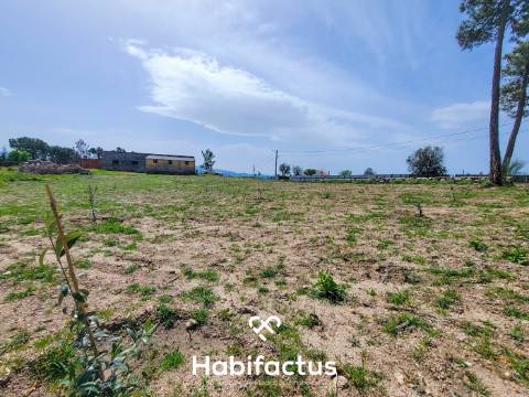 Terreno Rústico com 4.672 m2, com Olival e Pavilhão, á Venda em Abrunhosa do Mato - Mangualde