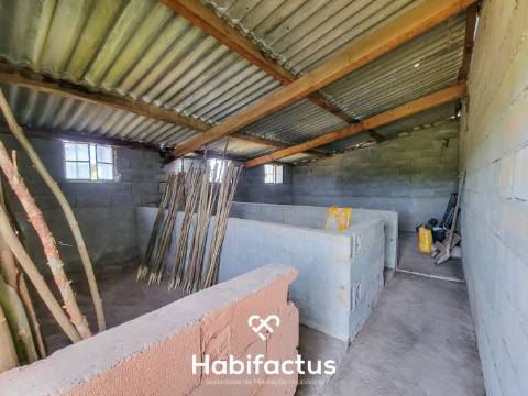 Terreno Rústico com 4.672 m2, com Olival e Pavilhão, á Venda em Abrunhosa do Mato - Mangualde