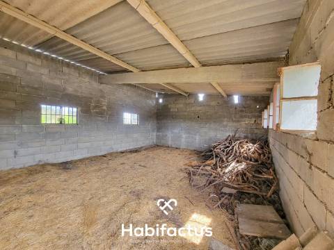 Terreno Rústico com 4.672 m2, com Olival e Pavilhão, á Venda em Abrunhosa do Mato - Mangualde
