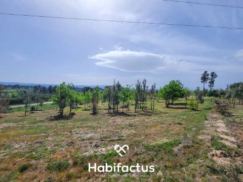 Terreno Rústico com 4.672 m2, com Olival e Pavilhão, á Venda em Abrunhosa do Mato - Mangualde