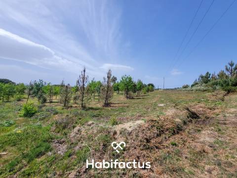Terreno Rústico com 4.672 m2, com Olival e Pavilhão, á Venda em Abrunhosa do Mato - Mangualde