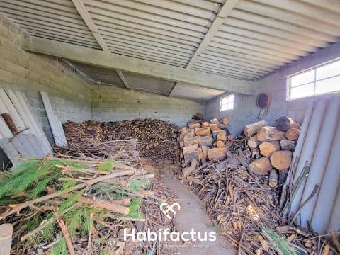 Terreno Rústico com 4.672 m2, com Olival e Pavilhão, á Venda em Abrunhosa do Mato - Mangualde