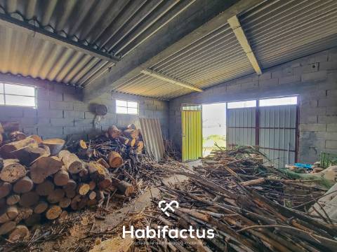 Terreno Rústico com 4.672 m2, com Olival e Pavilhão, á Venda em Abrunhosa do Mato - Mangualde