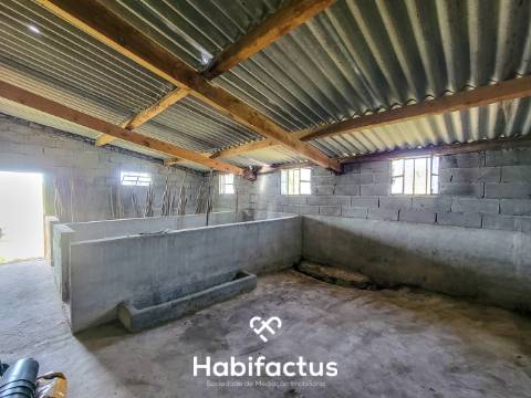 Terreno Rústico com 4.672 m2, com Olival e Pavilhão, á Venda em Abrunhosa do Mato - Mangualde