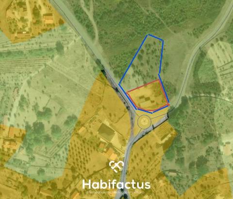 Terreno Rústico com 4.672 m2, com Olival e Pavilhão, á Venda em Abrunhosa do Mato - Mangualde