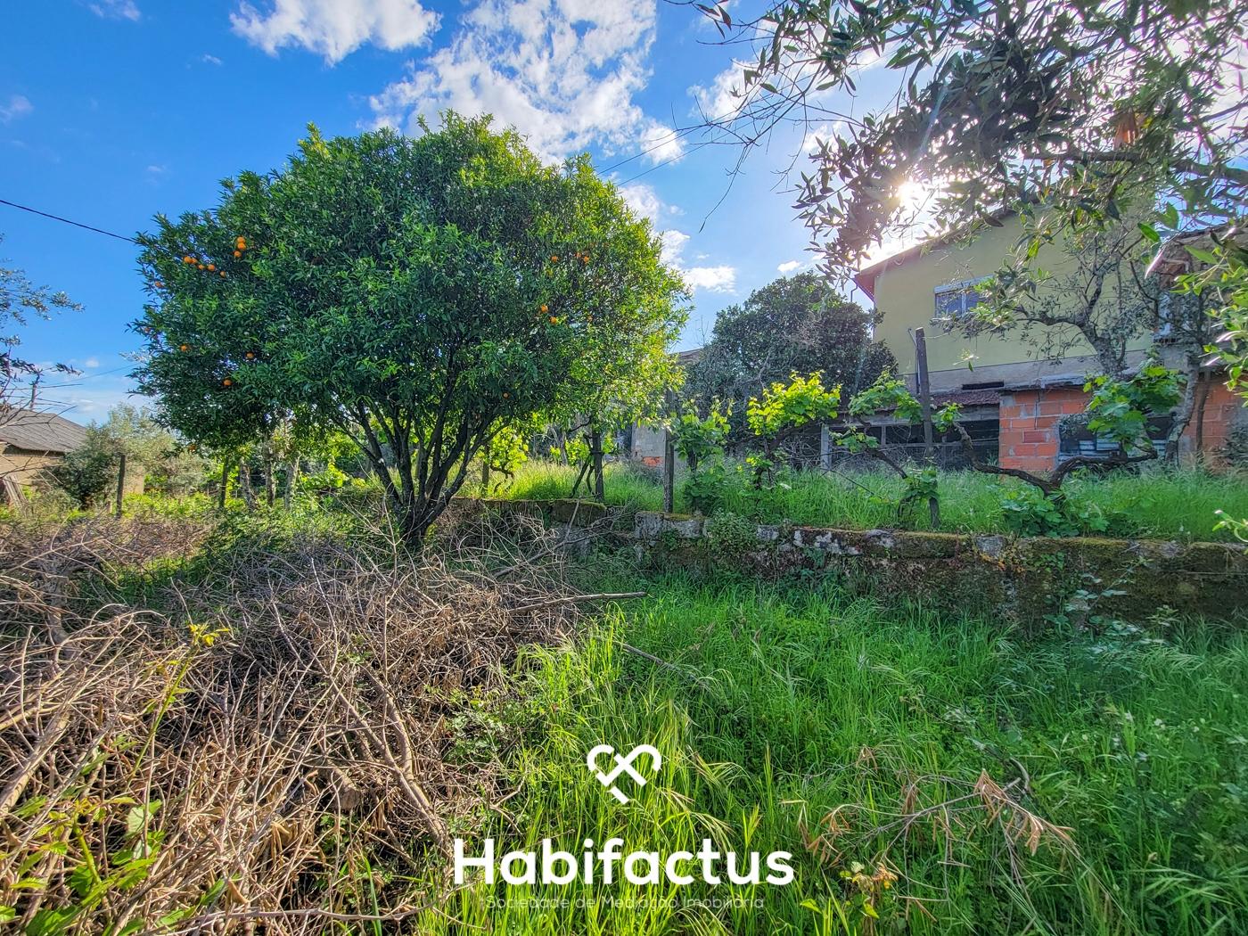 Moradia Isolada T5 c/Terreno e Terraço Panorâmico, á venda em Abrunhosa do Mato, Cunha Baixa- Mangua