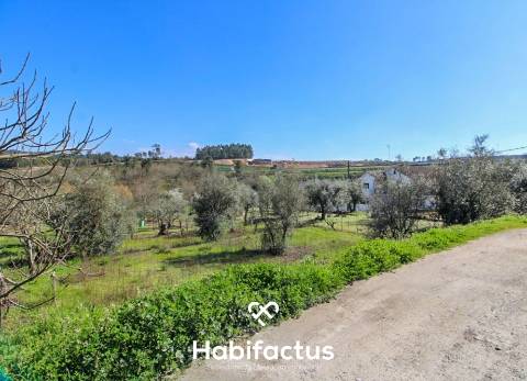 Terreno para construção de moradia unifamilar em Prime - Viseu