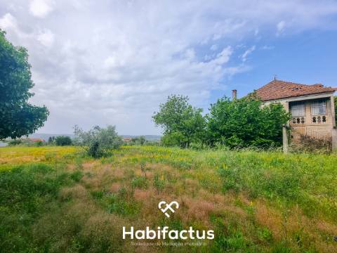 Quinta para venda em Silgueiros-Viseu