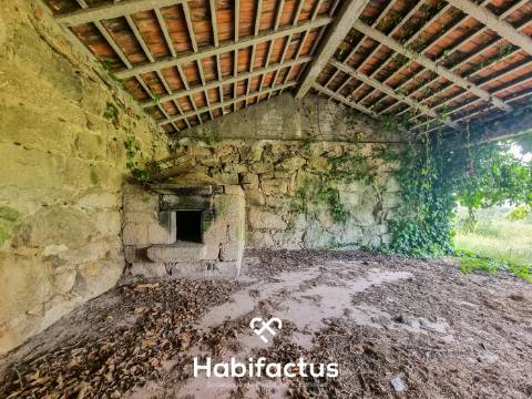 Quinta para venda em Silgueiros-Viseu