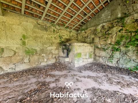 Quinta para venda em Silgueiros-Viseu