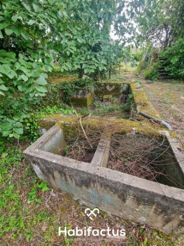Quinta para venda em Silgueiros-Viseu