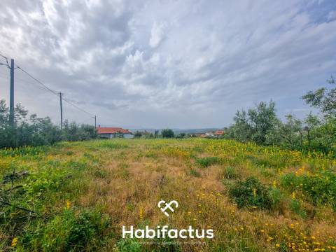 Quinta para venda em Silgueiros-Viseu