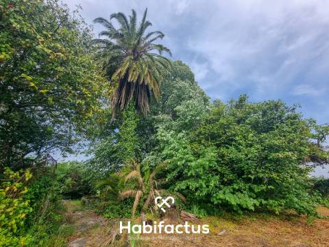 Quinta para venda em Silgueiros-Viseu