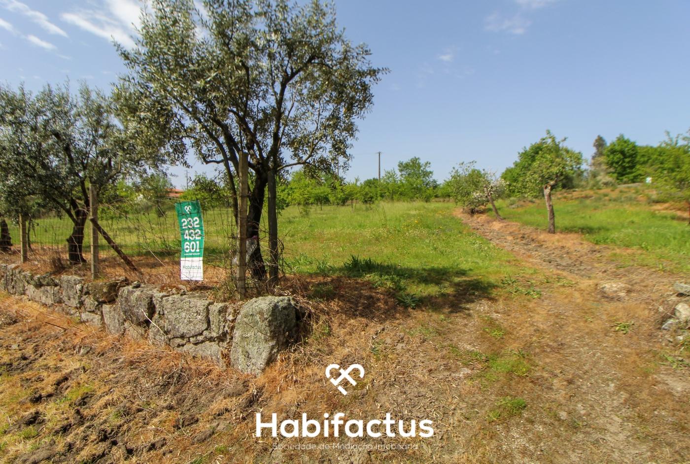 Terreno Agrícola com Vista Desafogada e Grande Potencial – 9.896 m²