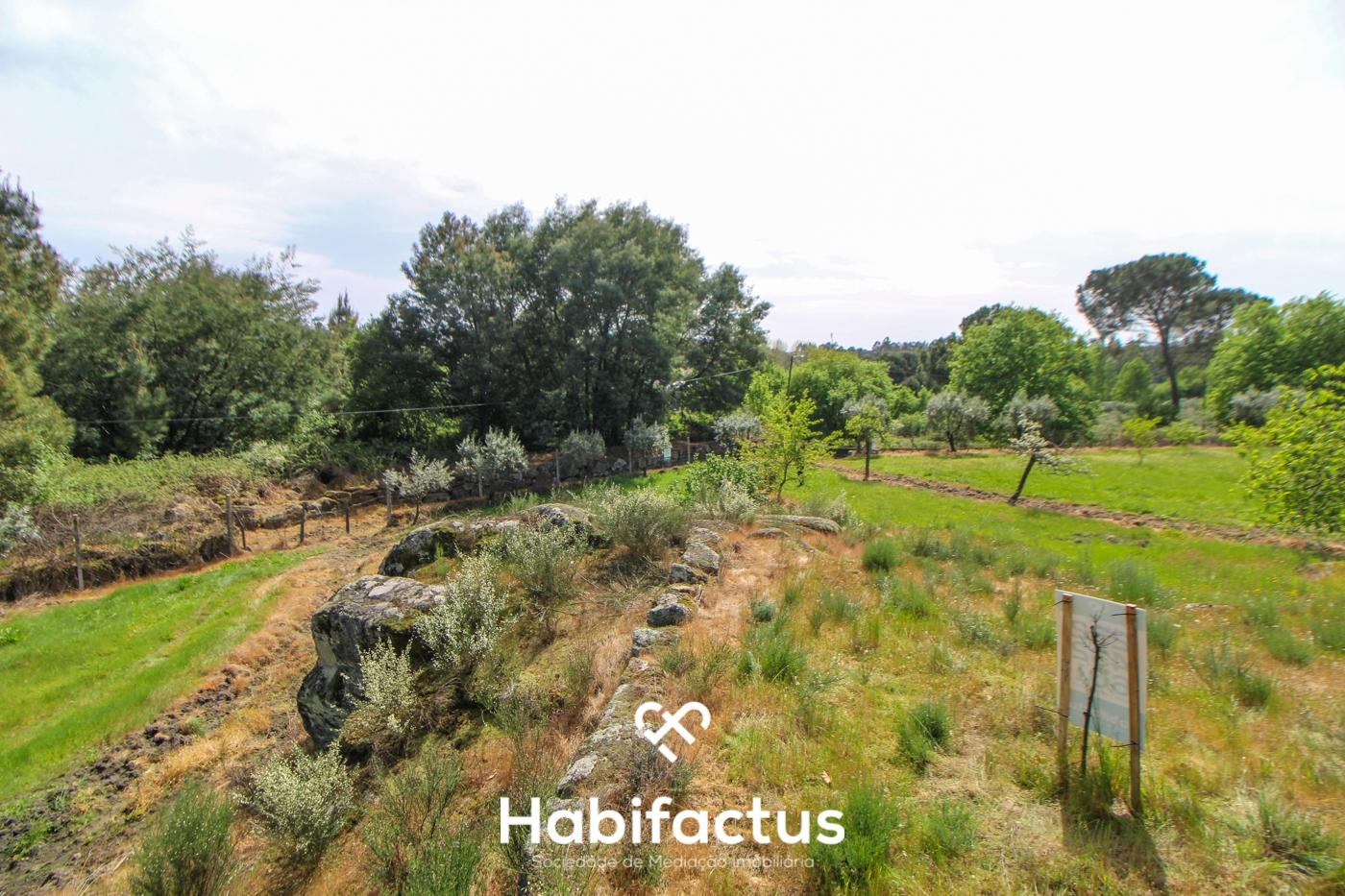 Terreno Agrícola com Vista Desafogada e Grande Potencial – 9.896 m²