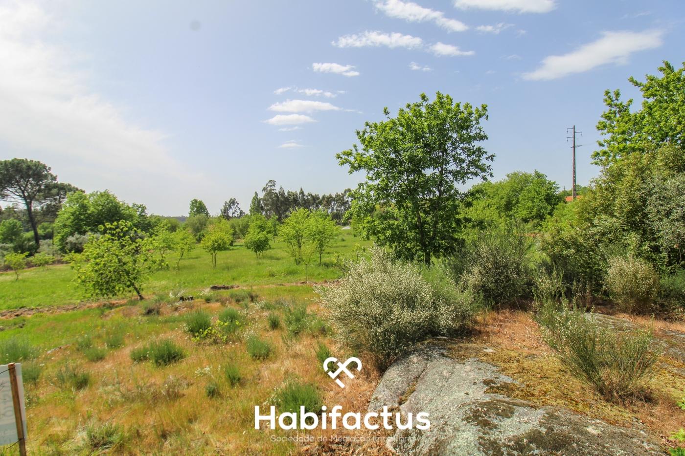 Terreno Agrícola com Vista Desafogada e Grande Potencial – 9.896 m²