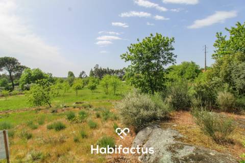 Terreno Agrícola com Vista Desafogada e Grande Potencial – 9.896 m²