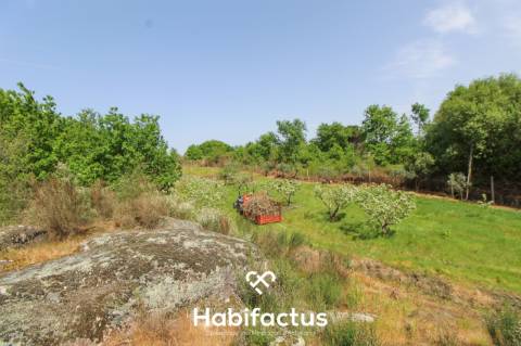Terreno Agrícola com Vista Desafogada e Grande Potencial – 9.896 m²