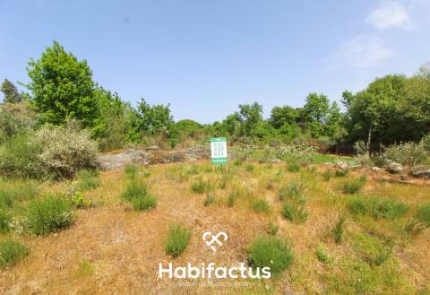 Terreno Agrícola com Vista Desafogada e Grande Potencial – 9.896 m²