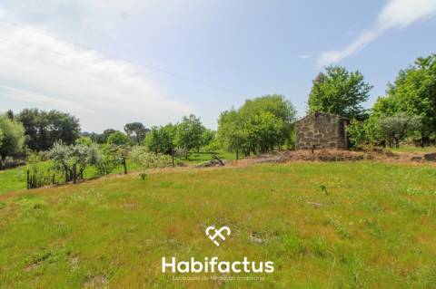 Terreno Agrícola com Vista Desafogada e Grande Potencial – 9.896 m²