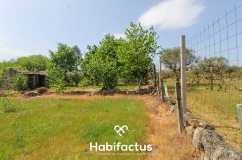 Terreno Agrícola com Vista Desafogada e Grande Potencial – 9.896 m²