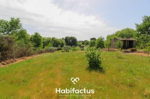 Terreno Agrícola com Vista Desafogada e Grande Potencial – 9.896 m²
