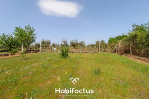 Terreno Agrícola com Vista Desafogada e Grande Potencial – 9.896 m²