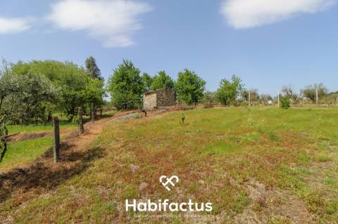 Terreno Agrícola com Vista Desafogada e Grande Potencial – 9.896 m²