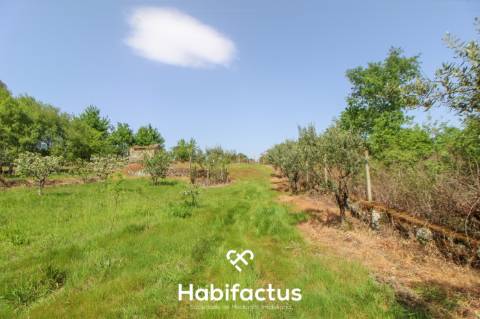 Terreno Agrícola com Vista Desafogada e Grande Potencial – 9.896 m²