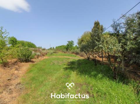 Terreno Agrícola com Vista Desafogada e Grande Potencial – 9.896 m²