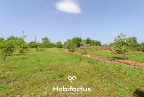Terreno Agrícola com Vista Desafogada e Grande Potencial – 9.896 m²