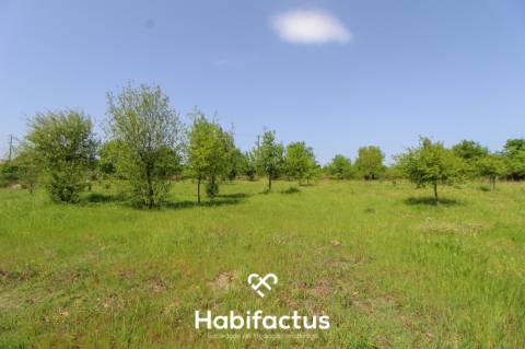 Terreno Agrícola com Vista Desafogada e Grande Potencial – 9.896 m²