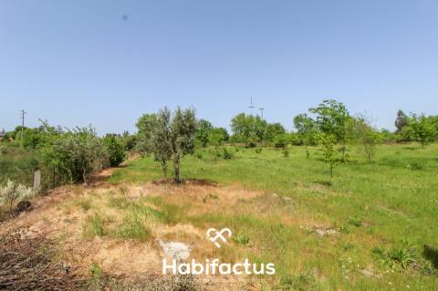 Terreno Agrícola com Vista Desafogada e Grande Potencial – 9.896 m²