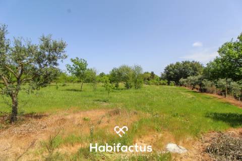 Terreno Agrícola com Vista Desafogada e Grande Potencial – 9.896 m²