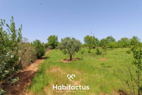 Terreno Agrícola com Vista Desafogada e Grande Potencial – 9.896 m²