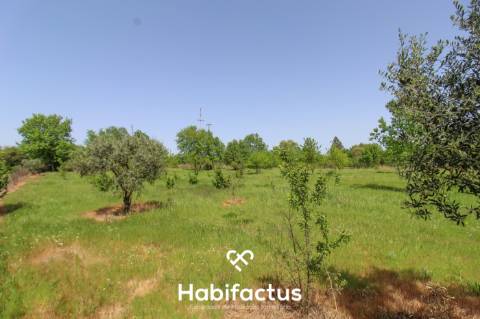 Terreno Agrícola com Vista Desafogada e Grande Potencial – 9.896 m²