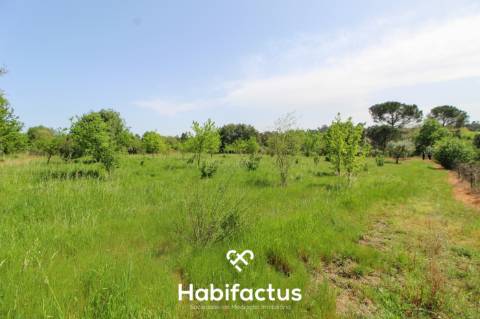 Terreno Agrícola com Vista Desafogada e Grande Potencial – 9.896 m²