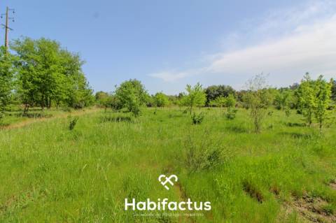 Terreno Agrícola com Vista Desafogada e Grande Potencial – 9.896 m²