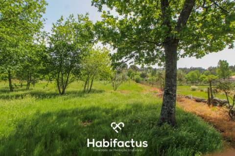 Terreno Agrícola com Vista Desafogada e Grande Potencial – 9.896 m²