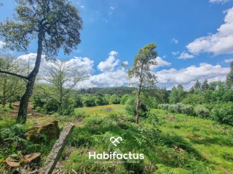 Terreno para venda em Sernada-Viseu